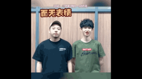 莱昂纳多
