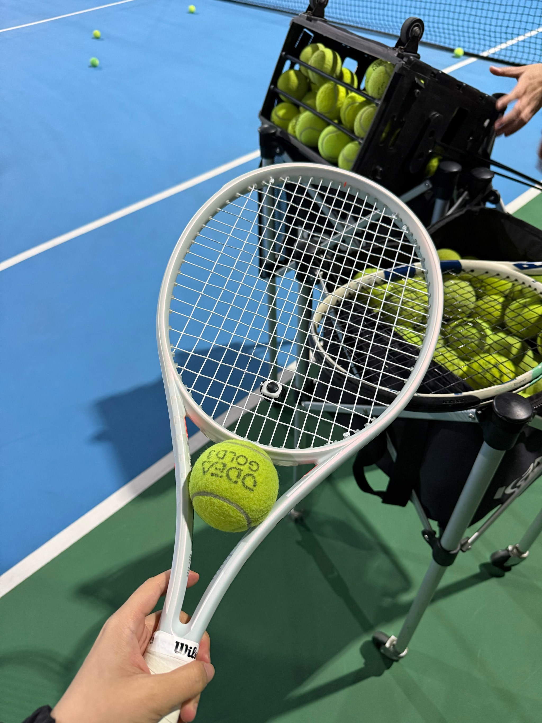 这一决定不 这一决定不