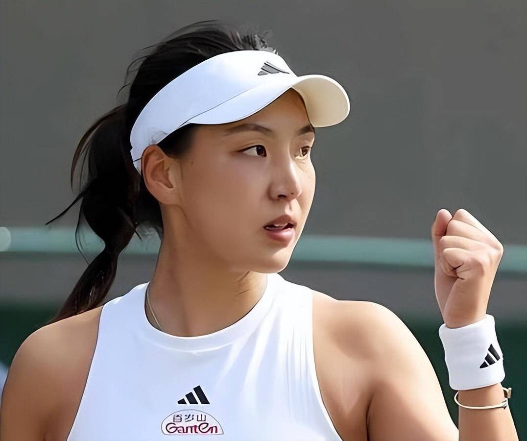 关注与荣誉 关注与荣誉