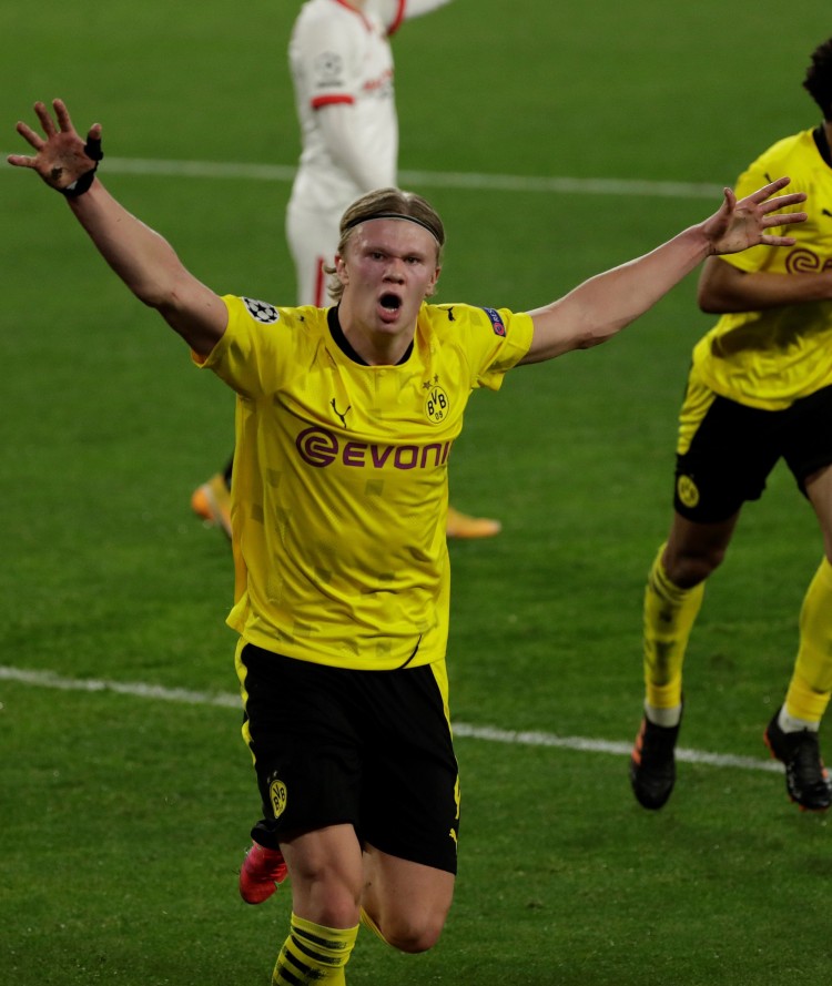 却是多年积 却是多年积